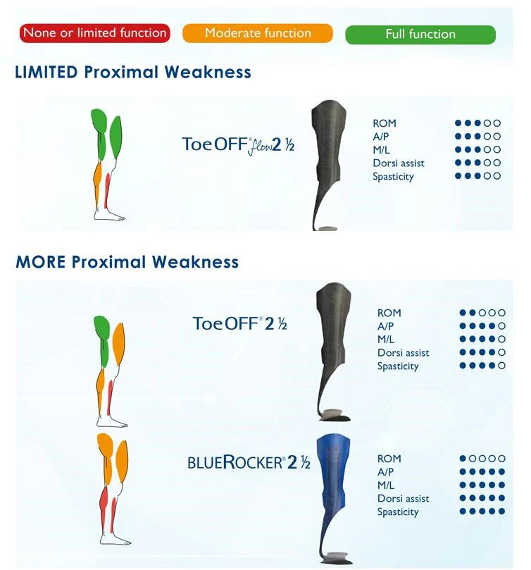 Allard AFO ToeOFF Flow 2 1/2 - Image 3